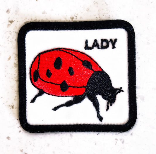Lady Bug Patch
